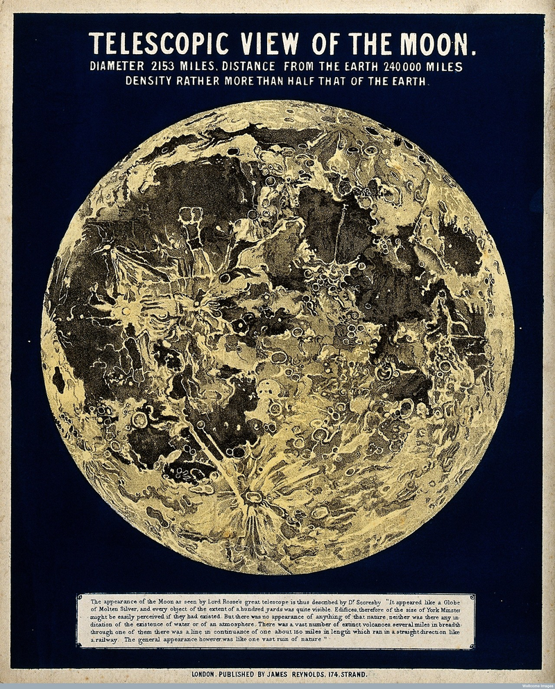 Illustration for article titled If Only Modern Infographs Were As Stunning As These 19th-Century Ones